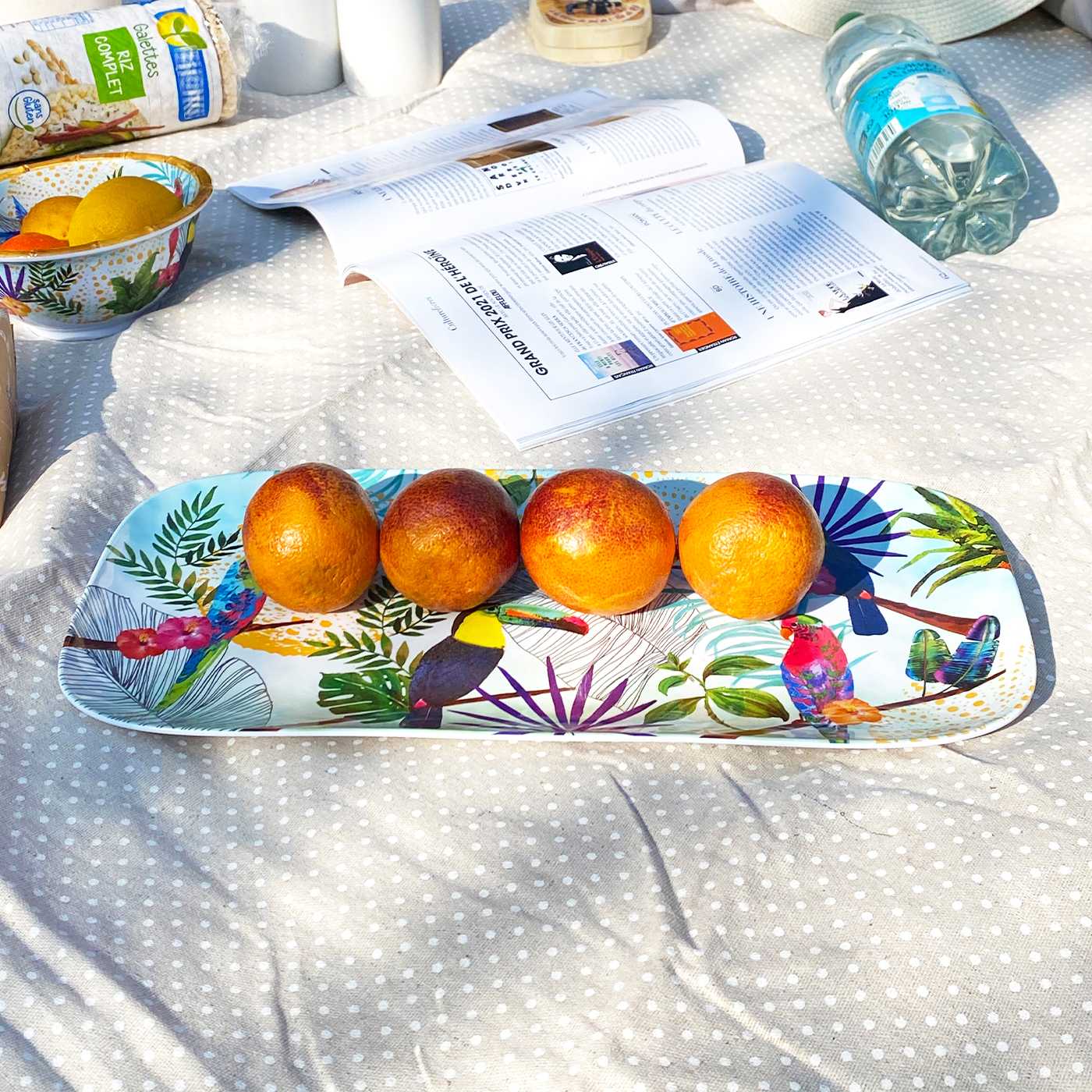 Lange rechthoekige taartschaal in melamine met toekans - 37,5 cm
