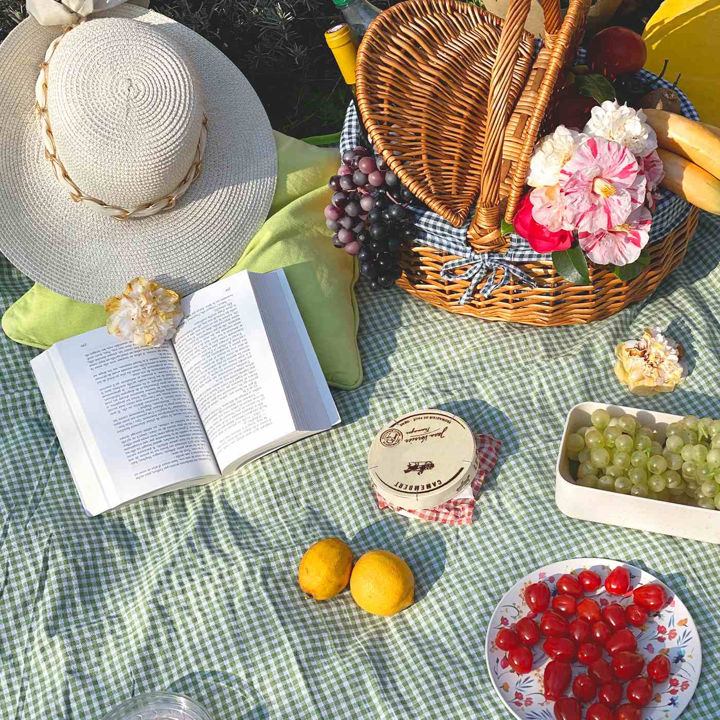 Picknickkleed waterdicht kleine groene en witte ruitjes