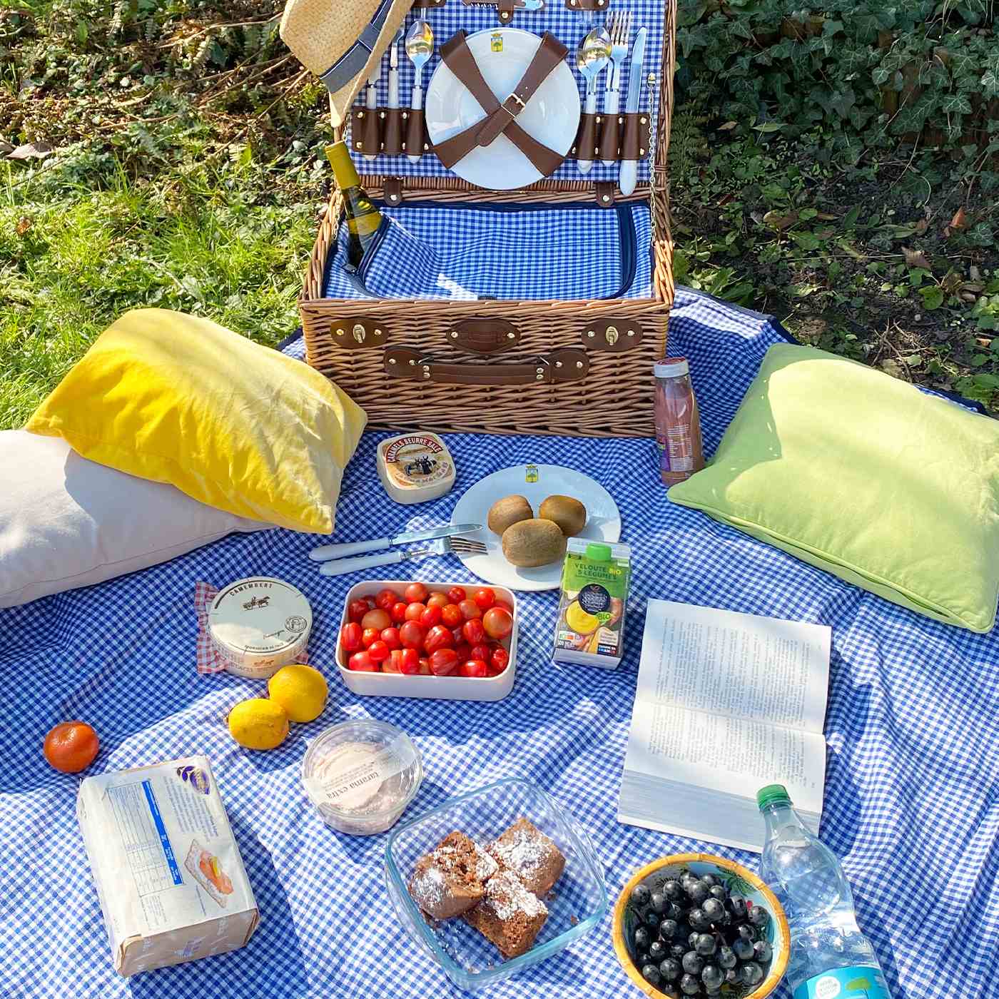 Picknickkleed waterdicht kleine blauwe en witte ruitjes