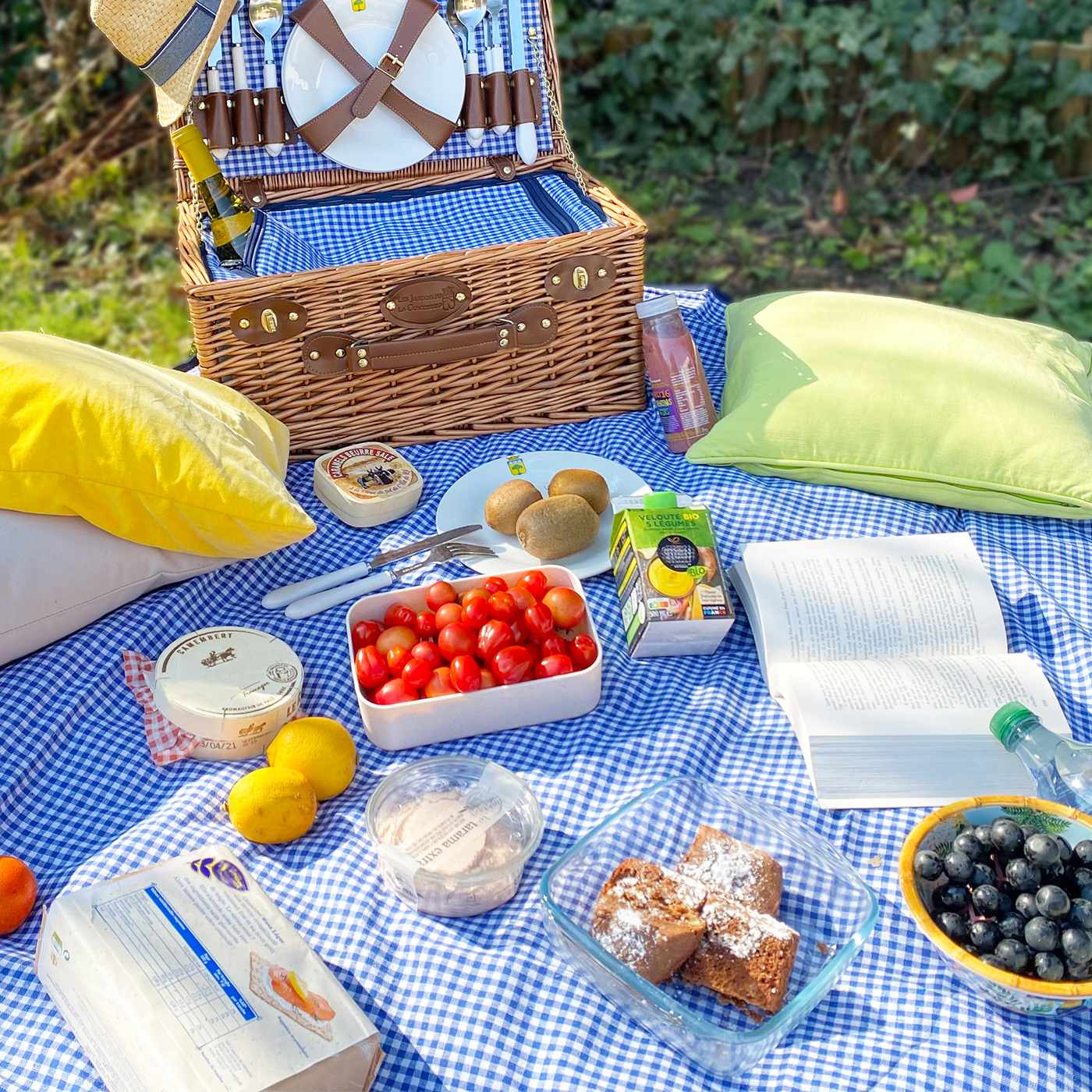 Picknickkleed waterdicht XL kleine blauwe en witte ruitjes