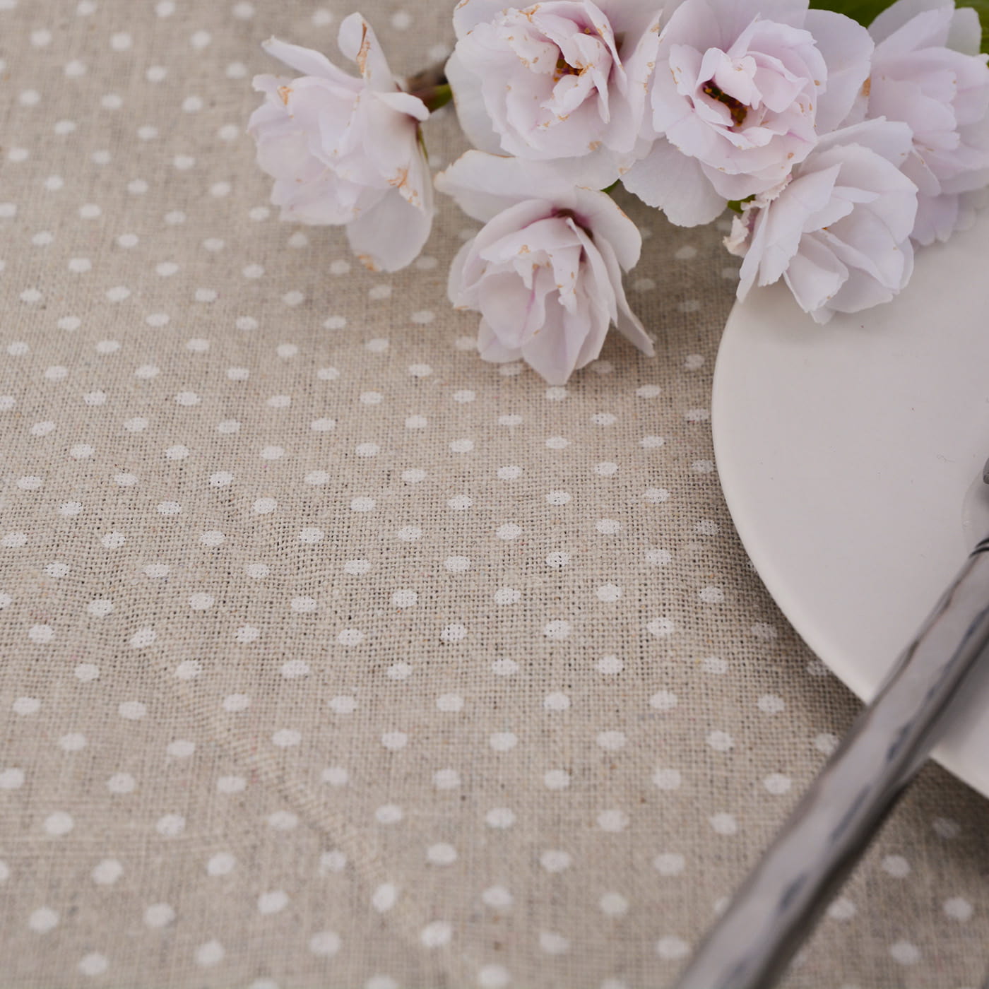 Picknickkleed waterdicht XL Beige met witte stippen