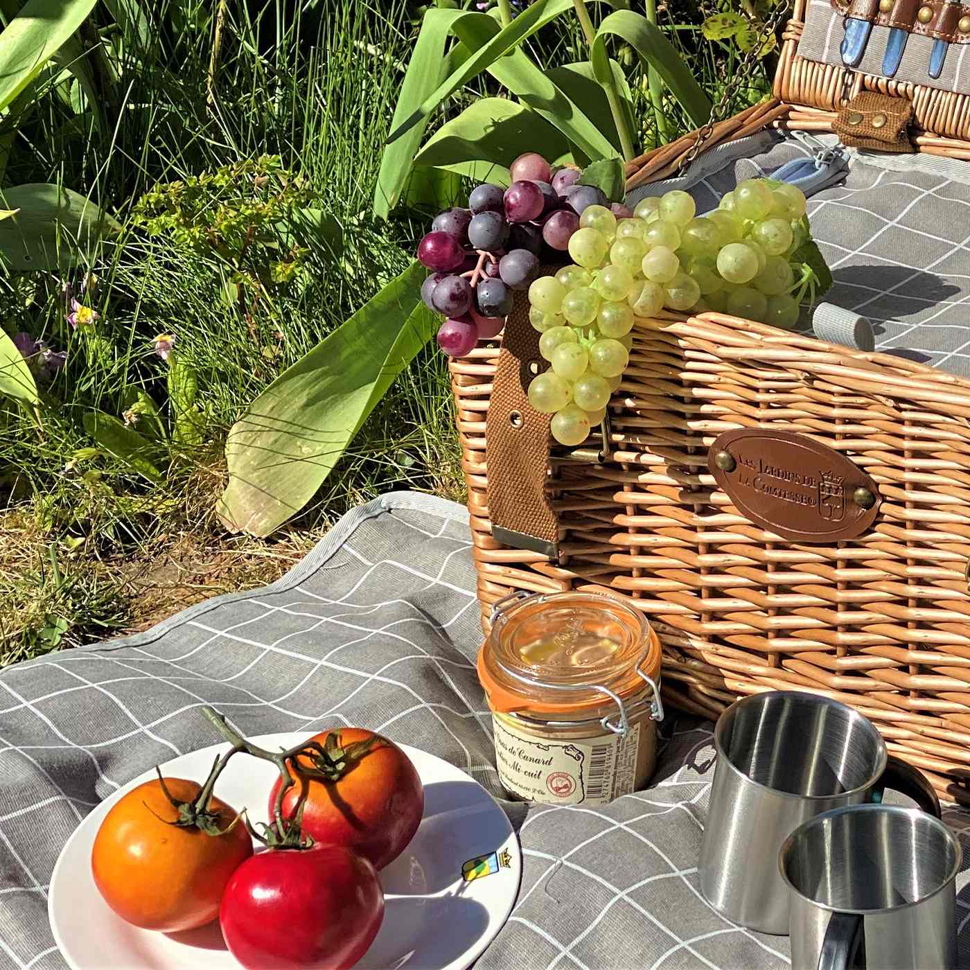 Picknickkleed XL "Concorde" met waterproof achterkant