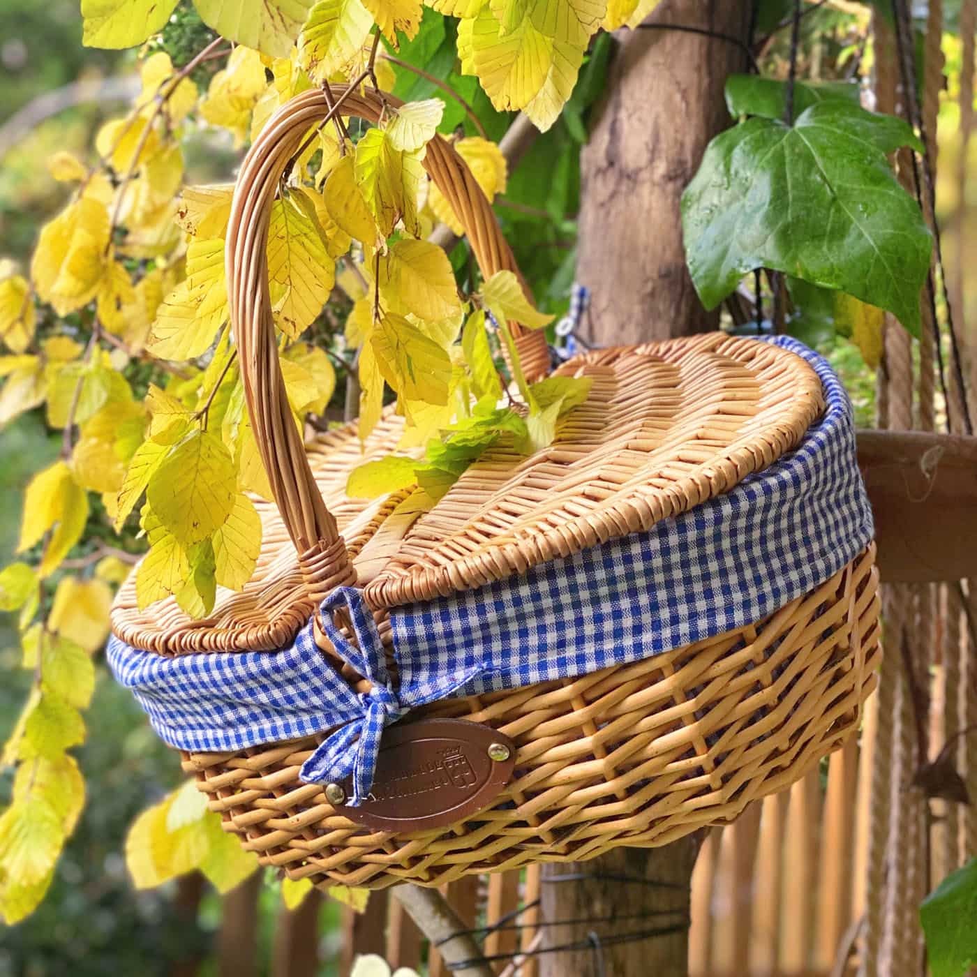 Rieten mand Campagne blauw ruite stof