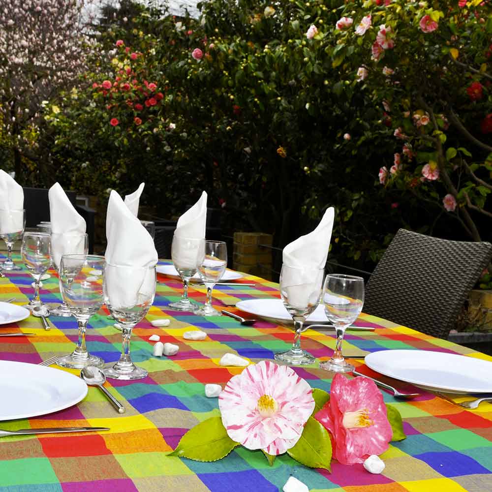 Picknickkleed waterdicht met multigekleurde ruiten