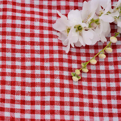 Picknickkleed waterdicht XL kleine rode en witte ruitjes