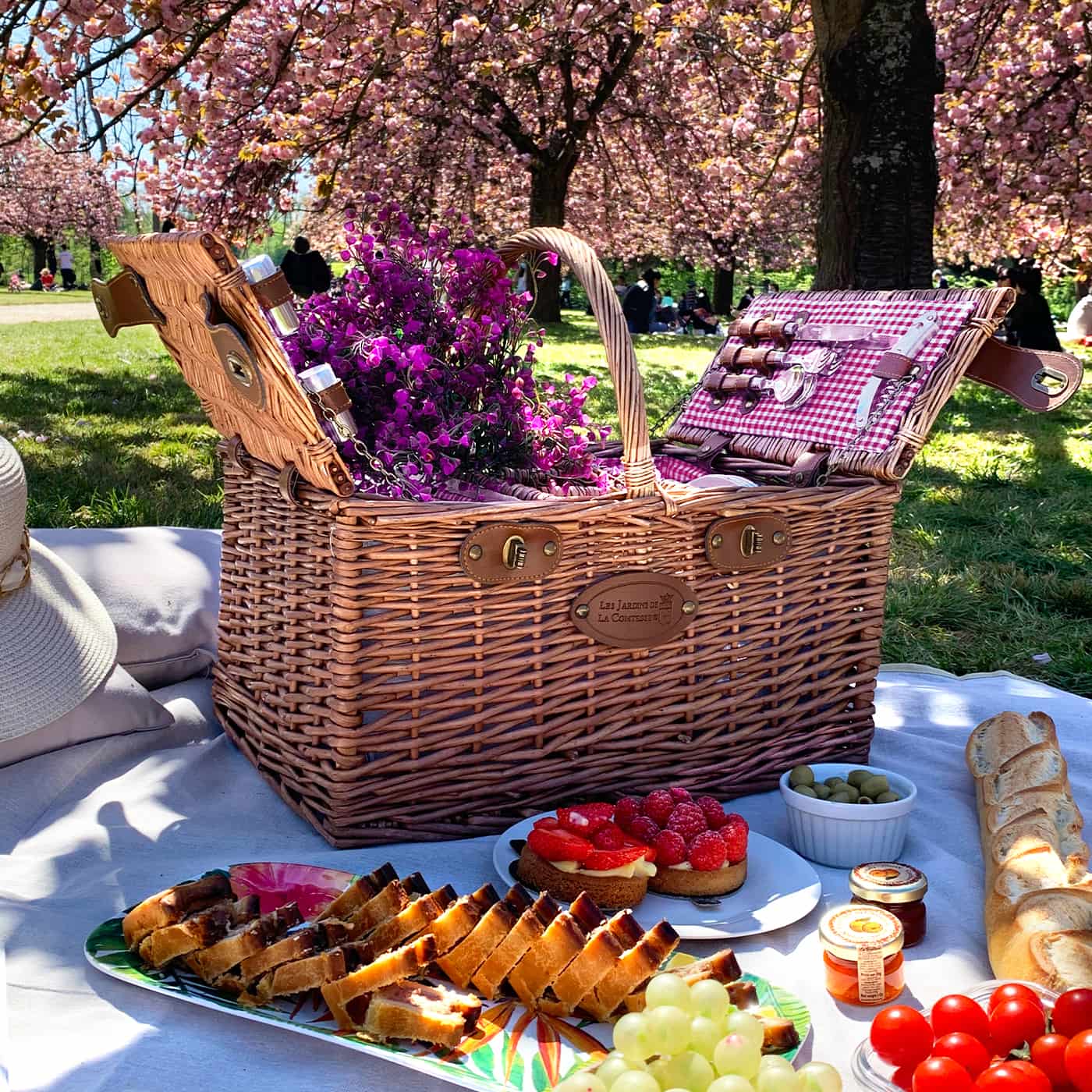 Lege Picknickmand Volledig Geïsoleerd met Rood Wit Geruite Stof Lege Picknickmand Volledig Geïsoleerd met Rood Wit Geruite Stof